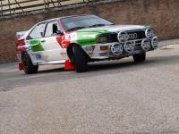 Audi - Rally