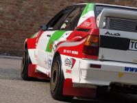 Audi - Rally