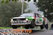Audi - Rally